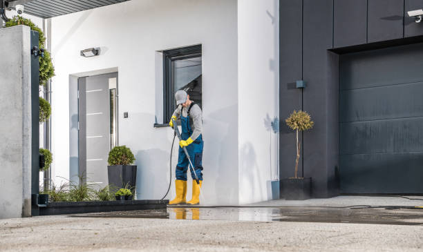Best Roof Washing  in Willow Park, TX